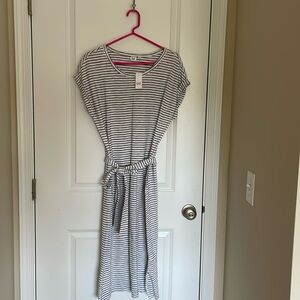Gap Stripe Dress
